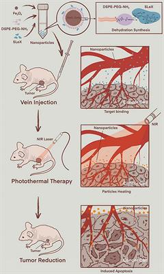 Research Progress of Photothermal Nanomaterials in Multimodal Tumor Therapy